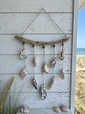 Driftwood Oyster Shell Wind Chime
