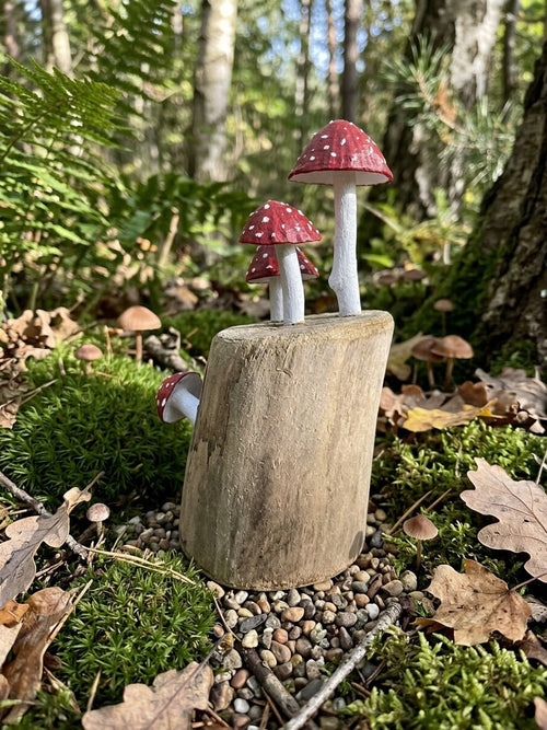 Driftwood and Limpet Shell Toadstool Mushroom Decor